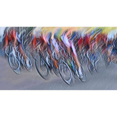 Stampede White Modern Wood Framed Art Print by Urlings, Lou