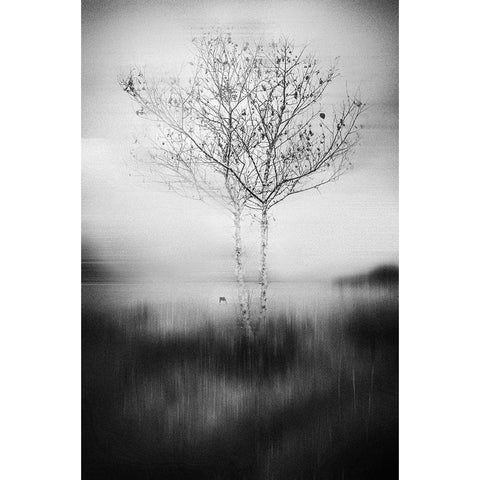 That Tree Black Modern Wood Framed Art Print by Perez Acevedo, Lisandro