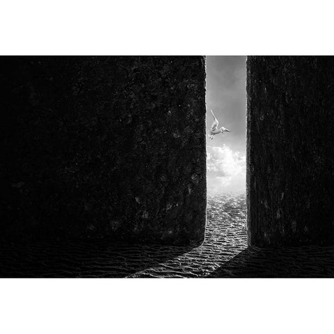 The White Bird Gold Ornate Wood Framed Art Print with Double Matting by Almawash, Sulaiman