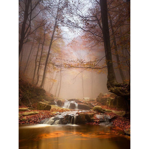 Mistyc Mist Gold Ornate Wood Framed Art Print with Double Matting by Menendez Covelo, Ramon