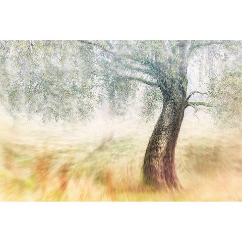 Twisted Dream Black Modern Wood Framed Art Print by Davidsson, Gustav