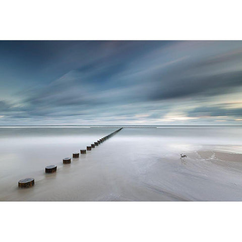 T White Modern Wood Framed Art Print by R. Nebelski, Rafal