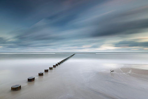 T Black Ornate Wood Framed Art Print with Double Matting by R. Nebelski, Rafal