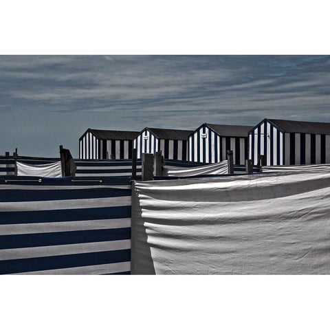 Territorial Behavior Black Modern Wood Framed Art Print by Claes, Gilbert