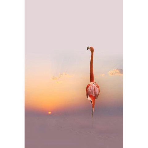 Sunset ... Gold Ornate Wood Framed Art Print with Double Matting by Cseresnjes, Anna