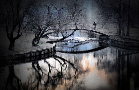 Untitled Black Ornate Wood Framed Art Print with Double Matting by Andreescu, Cristian