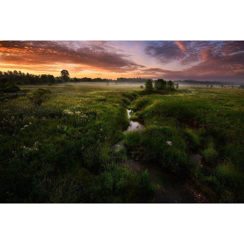 Morning On Kesma River Black Modern Wood Framed Art Print with Double Matting by Volkov, Kirill