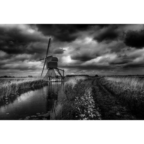 Dutch Pride White Modern Wood Framed Art Print by Hageman, Michiel