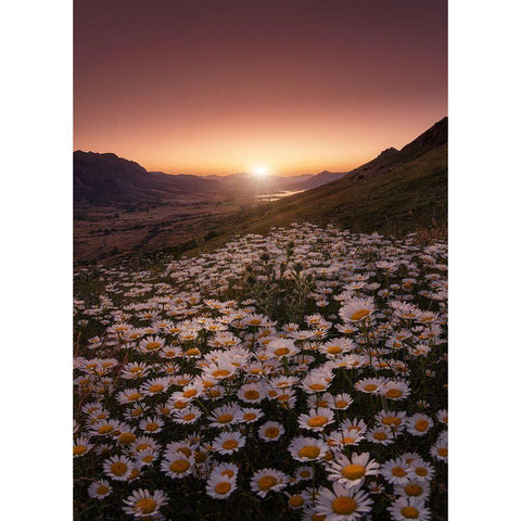 Closer To The Sun Black Modern Wood Framed Art Print with Double Matting by Abevilla, Sergio