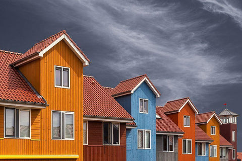 Reitdiep Black Ornate Wood Framed Art Print with Double Matting by Luycx, Theo