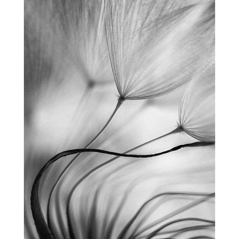 Lean On Me Black Modern Wood Framed Art Print by Or, Keren