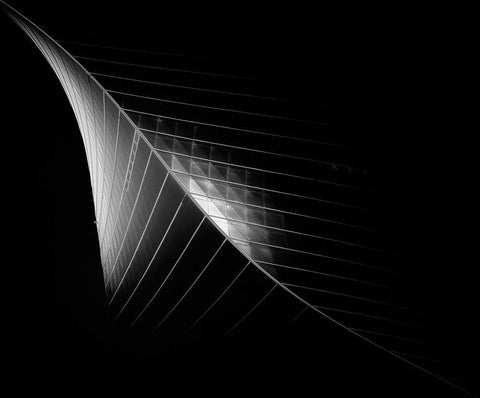 Scimitar 3 ( The Eclipse) White Modern Wood Framed Art Print with Double Matting by Thabet, Ahmed