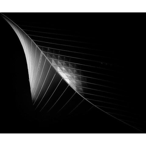 Scimitar 3 ( The Eclipse) Black Modern Wood Framed Art Print by Thabet, Ahmed