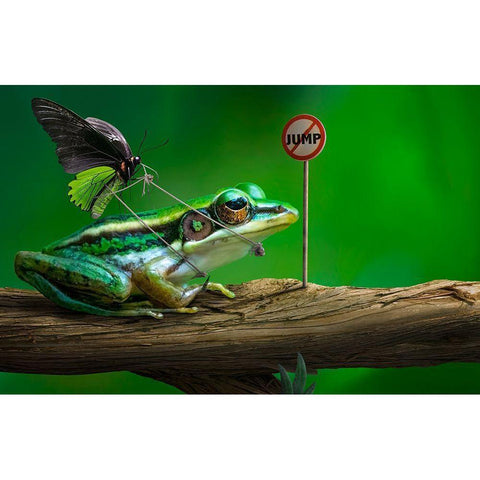 No Jump Black Modern Wood Framed Art Print with Double Matting by Almawash, Sulaiman