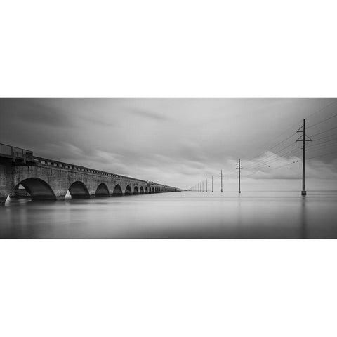 Birds Talking Black Modern Wood Framed Art Print with Double Matting by Lionse, Art