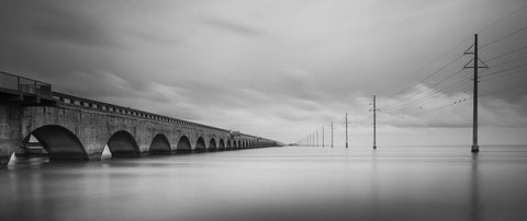 Birds Talking Black Ornate Wood Framed Art Print with Double Matting by Lionse, Art