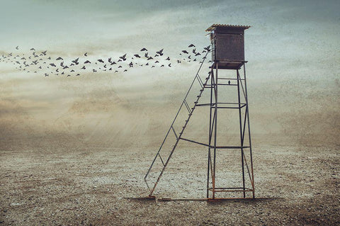 Go To Nature Black Ornate Wood Framed Art Print with Double Matting by Almawash, Sulaiman