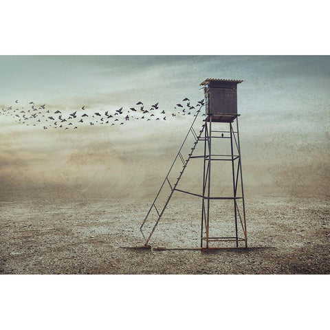 Go To Nature Black Modern Wood Framed Art Print with Double Matting by Almawash, Sulaiman