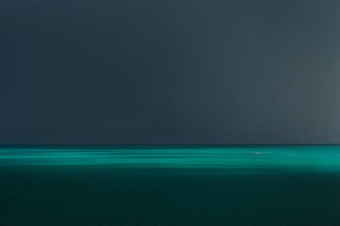 After The Rain I Black Ornate Wood Framed Art Print with Double Matting by Johansen, Viggo