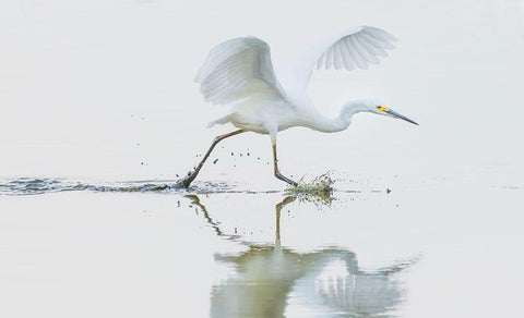 Untitled White Modern Wood Framed Art Print with Double Matting by Tian, Xiaobing