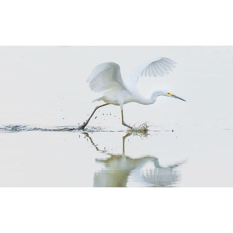 Untitled White Modern Wood Framed Art Print by Tian, Xiaobing