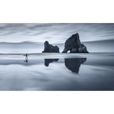 Wharariki Dream Black Modern Wood Framed Art Print by M. Almagro, Carlos