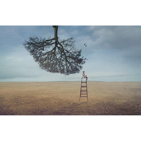 Were Birds Black Modern Wood Framed Art Print by Almawash, Sulaiman