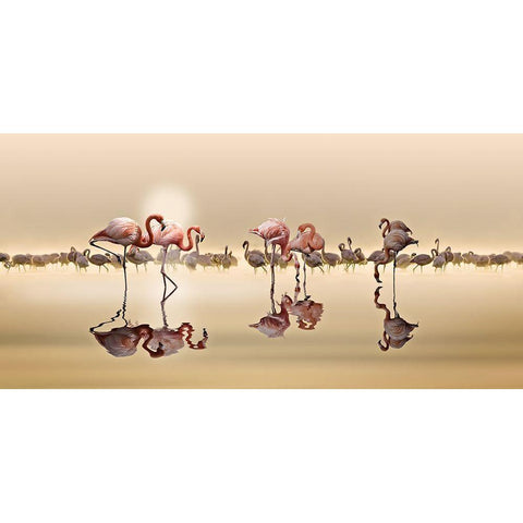 Flamingos Gold Ornate Wood Framed Art Print with Double Matting by Osman, Nasser