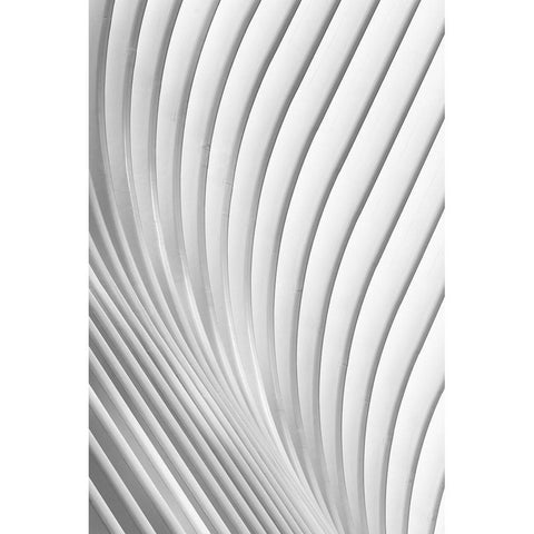 Calatrava Lines Black Modern Wood Framed Art Print with Double Matting by Budny, Christopher