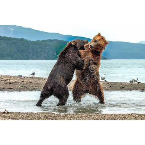 Quarrels Gold Ornate Wood Framed Art Print with Double Matting by Damico, Giuseppe