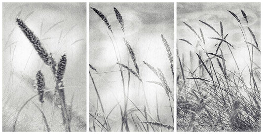 Image Only