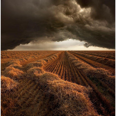 Untitled Gold Ornate Wood Framed Art Print with Double Matting by Schumacher, Nicolas