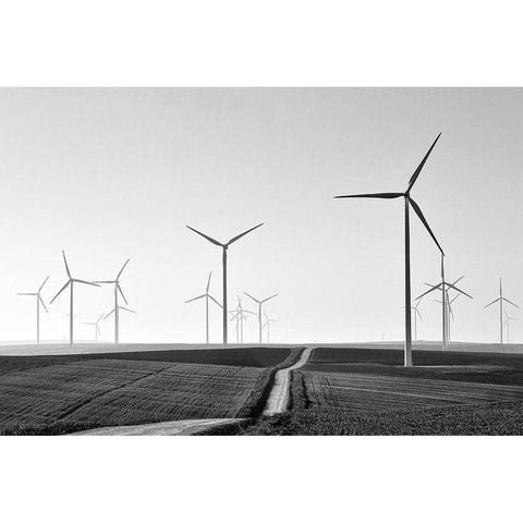 Winding White Modern Wood Framed Art Print by Avramescu, Emilian