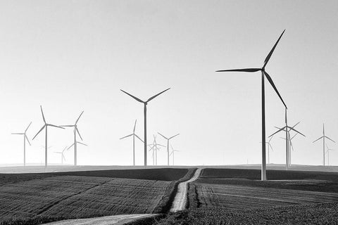 Winding Black Ornate Wood Framed Art Print with Double Matting by Avramescu, Emilian