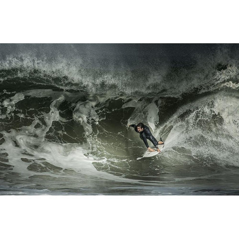 Seeking Some Shade... White Modern Wood Framed Art Print by Verbiest, Eric