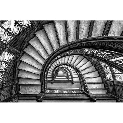 The Rookery Black Modern Wood Framed Art Print by Sun, Yimei