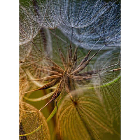 Inside Black Modern Wood Framed Art Print by Mathiesen, Kent