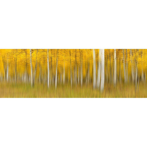 Autumn Dream White Modern Wood Framed Art Print by Xu, Mei