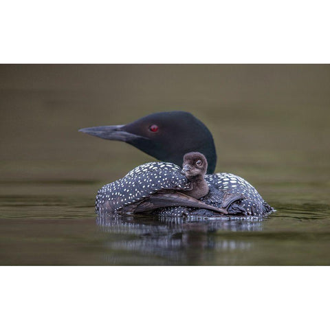 Back Seat Gold Ornate Wood Framed Art Print with Double Matting by Barsh, Greg