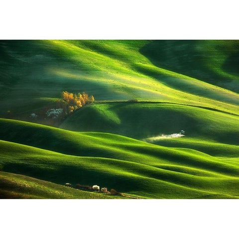 On Waves... White Modern Wood Framed Art Print by Browko, Krzysztof