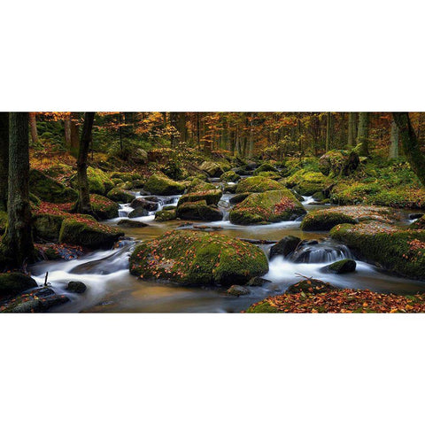 Autumn Waters Black Modern Wood Framed Art Print with Double Matting by Maier, Norbert