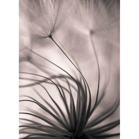 Untitled White Modern Wood Framed Art Print by Or, Keren