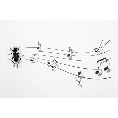 The Music Of Nature Black Modern Wood Framed Art Print by Mallus, Stefano