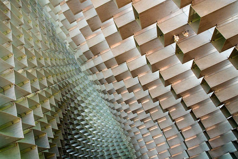 Serpentine Black Ornate Wood Framed Art Print with Double Matting by Wride, Linda