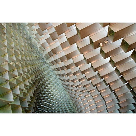 Serpentine Black Modern Wood Framed Art Print by Wride, Linda