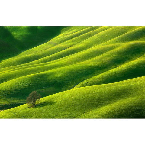 One... White Modern Wood Framed Art Print by Browko, Krzysztof