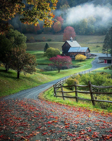 Untitled Black Ornate Wood Framed Art Print with Double Matting by H Yang, David