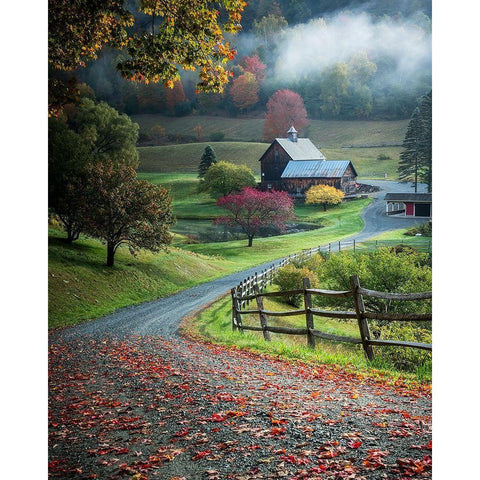 Untitled Gold Ornate Wood Framed Art Print with Double Matting by H Yang, David