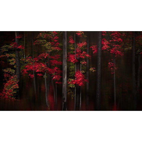 Getting Red Black Modern Wood Framed Art Print with Double Matting by Hu, Andy