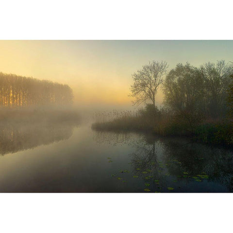 Natures Painting Black Modern Wood Framed Art Print by Borggreve, Ellen